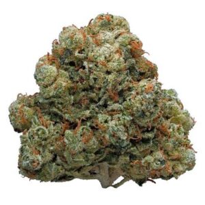 Hollywood OG [AAA] ***HOT DEAL!***