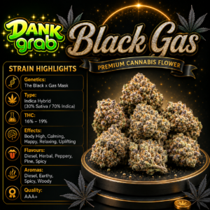 Black Gas [AAA+]