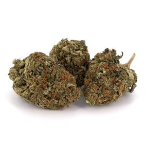 🔥 Tom Ford Bubba [AAAA+] 🔥