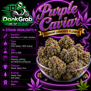 Purple Caviar [AAA+]